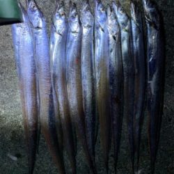 爆までいかないものの、