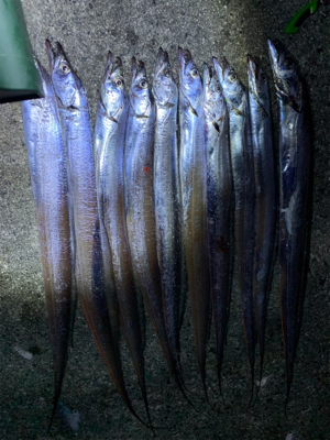 爆までいかないものの、