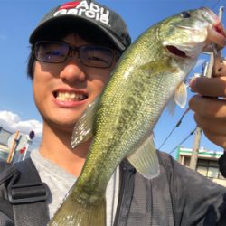 買いたてのルアー鯉に取られた!!