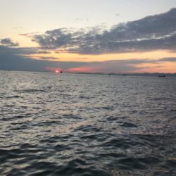 タチウオ開幕^ – ^