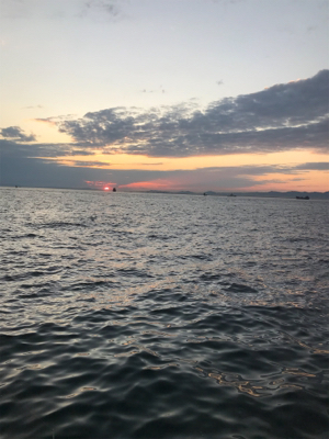 タチウオ開幕^ – ^