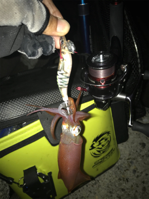 久しぶりのイカGET\(^o^)/