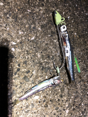 タチウオ いろいろな釣り方