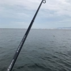 朝5時過ぎから。