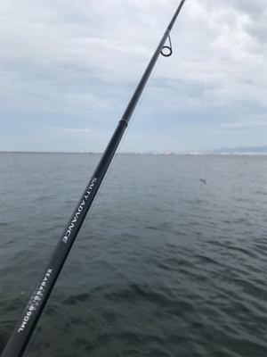 朝5時過ぎから。