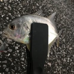 港湾ライトゲーム