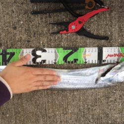 バレなければ…