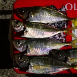 アジング練習27