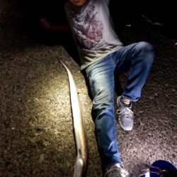 モンハンのつもりが。