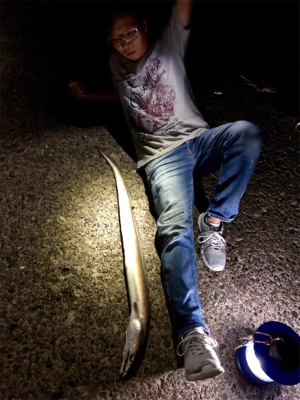 モンハンのつもりが。