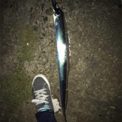 アジング＆タチウオ