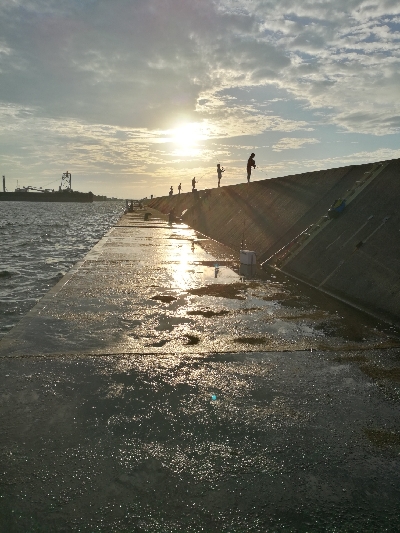 武庫一青物好調