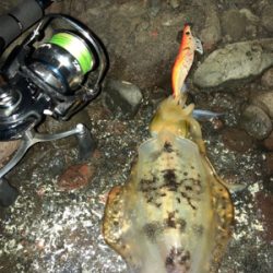 雨模様だけど、海が呼んでるんで♡