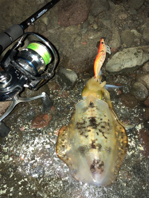 雨模様だけど、海が呼んでるんで♡