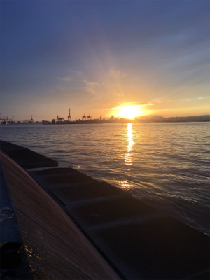 ゆったりまったり