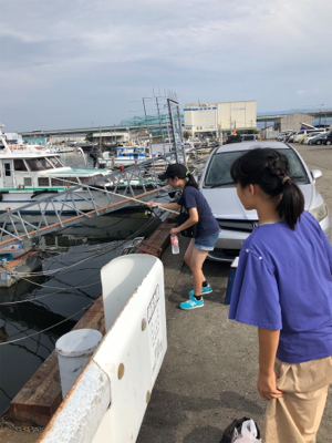 お友達と爆釣！