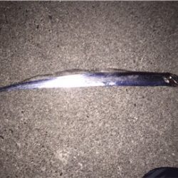 ワインド太刀魚