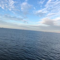 とにかくハマチ祭り