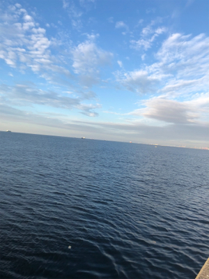 とにかくハマチ祭り