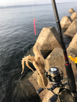 久しぶりのキス釣り(^^)