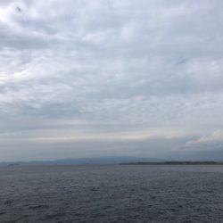 今週もタチウオへ