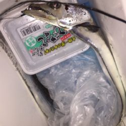 シブいですが、アタリはあり