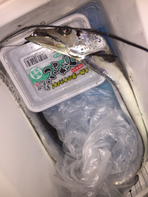 シブいですが、アタリはあり