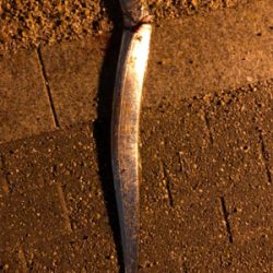 キャンプフィッシング