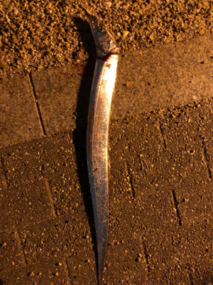 キャンプフィッシング