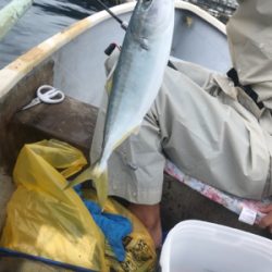 田子港 手漕ぎボート五目釣り