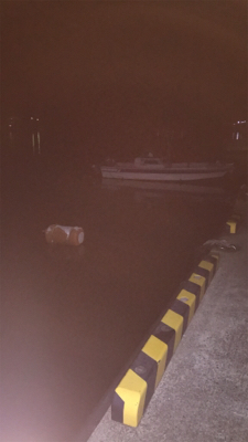 ワタリガニ諦め朝からサイトエギング