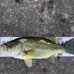 人もバスもいい季節!!