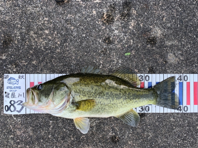 人もバスもいい季節!!