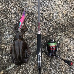 秋エギング＆ジギング