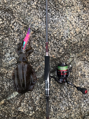 秋エギング＆ジギング