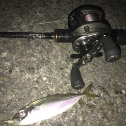 アジングアジングアジング♬