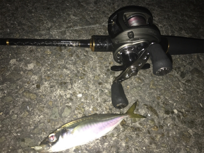 アジングアジングアジング♬