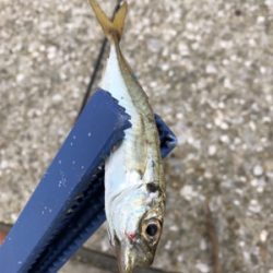 仕事帰りに一本！