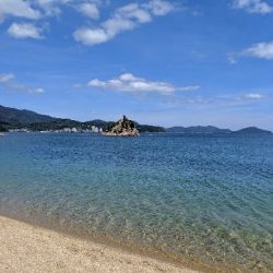 日本海でちびっ子と遊ぶ