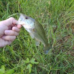 カバー周りはひたすら攻める