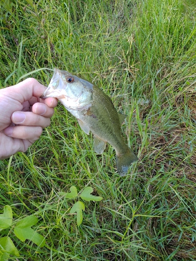 カバー周りはひたすら攻める