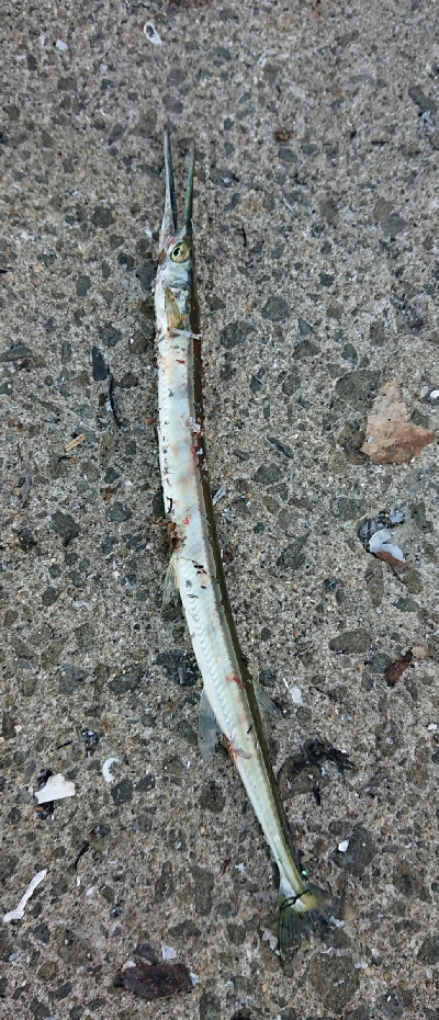 追うものと追われるもの