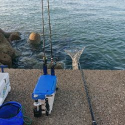 3割3分3厘・・・