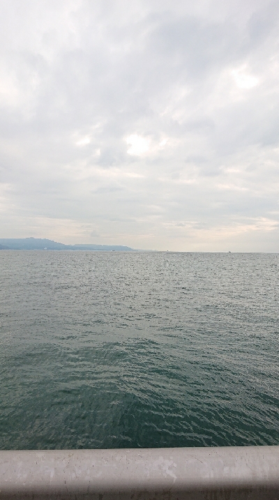 初サヨリチャレンジ