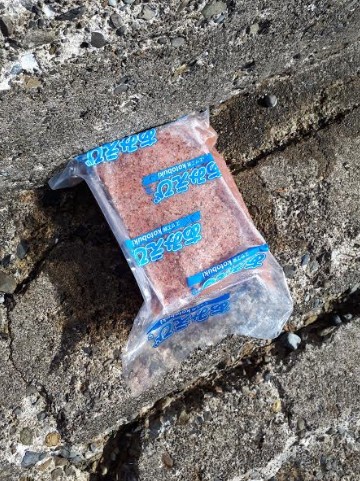 アジの入れ食い！！！！やはり、ボウズのがれは鉄板！！！！！！