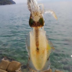 サイズは？数は？