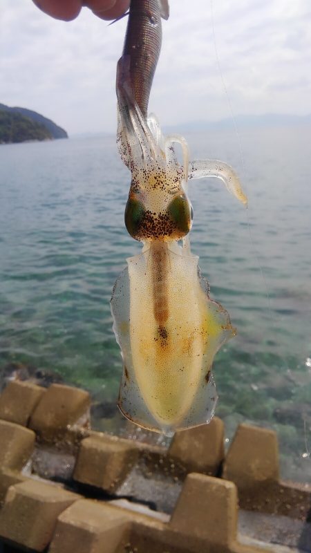 サイズは？数は？