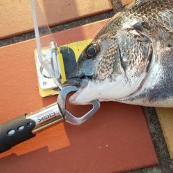 場所移動成功！！