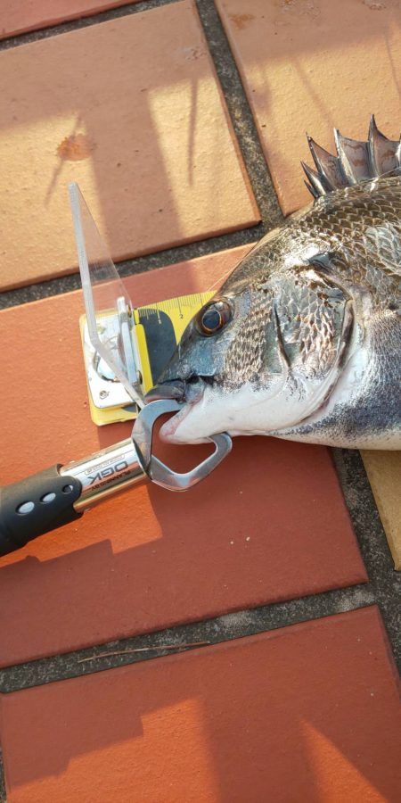 場所移動成功！！