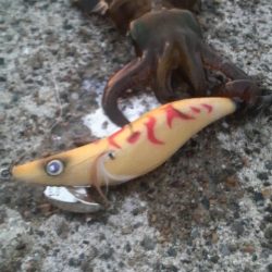 エギ王VS餌木蔵